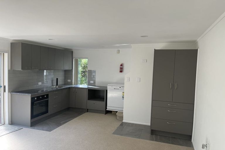 Photo of property in 48 Tiri Tiri Road, Birkdale, Auckland, 0626