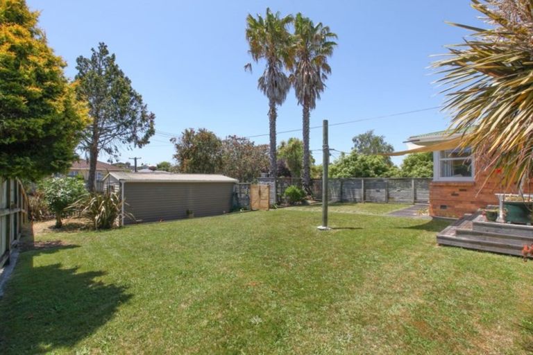 Photo of property in 149 Rimu Street, Maeroa, Hamilton, 3200