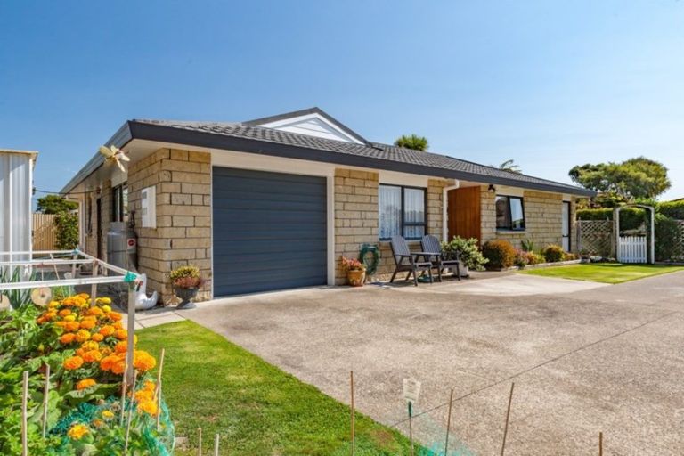 Photo of property in 29b York Street, Levin, 5510