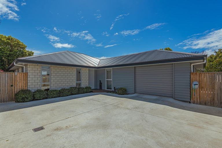 Photo of property in 31a Manson Street, Terrace End, Palmerston North, 4410