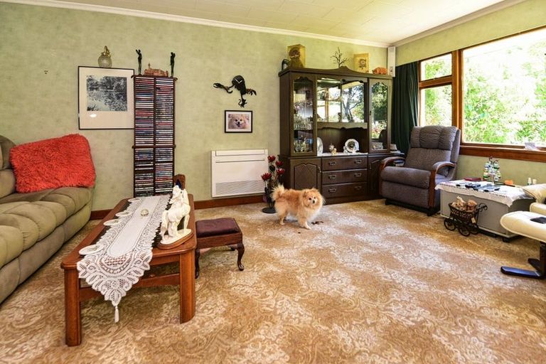 Photo of property in 64 Eton Street, Hampstead, Ashburton, 7700