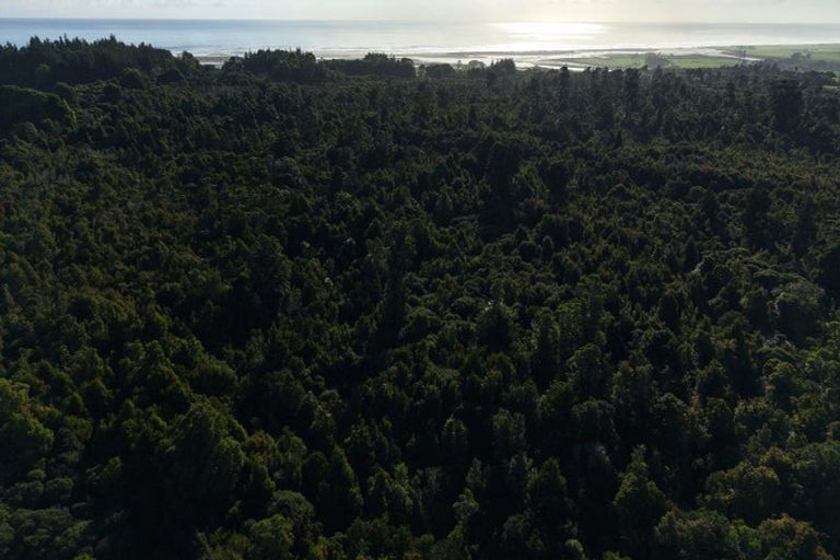 Photo of property in 37 South Terrace Road, Karamea, 7893