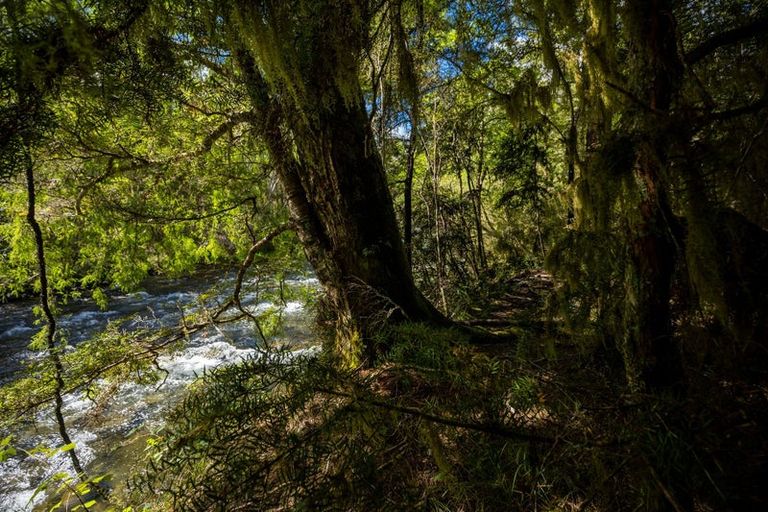 Photo of property in 101 Gowan Valley Road, Gowanbridge, Murchison, 7077