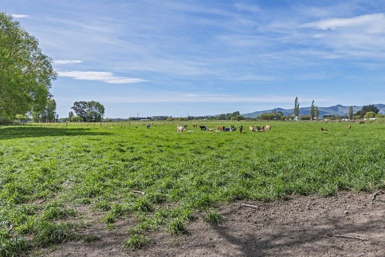 Photo of property in 41 Poplar Lane, Lincoln, Christchurch, 7674