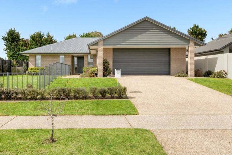 Photo of property in 43 Benmore Crescent, Pyes Pa, Tauranga, 3112