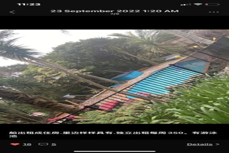 Photo of property in 341 Upper Harbour Drive, Greenhithe, Auckland, 0632