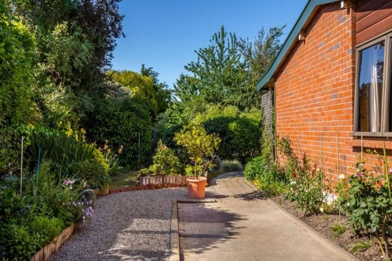 Photo of property in 48a Cole Street, Masterton, 5810