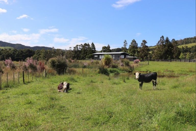 Photo of property in 1281 Whangaripo Valley Road, Whangaripo, Wellsford, 0972