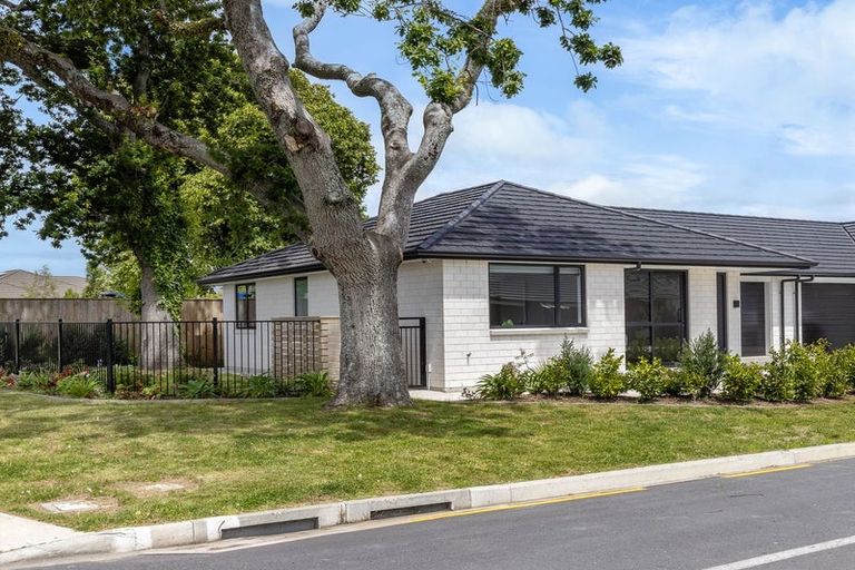 Photo of property in 1 Catherine Lane, Levin, 5510