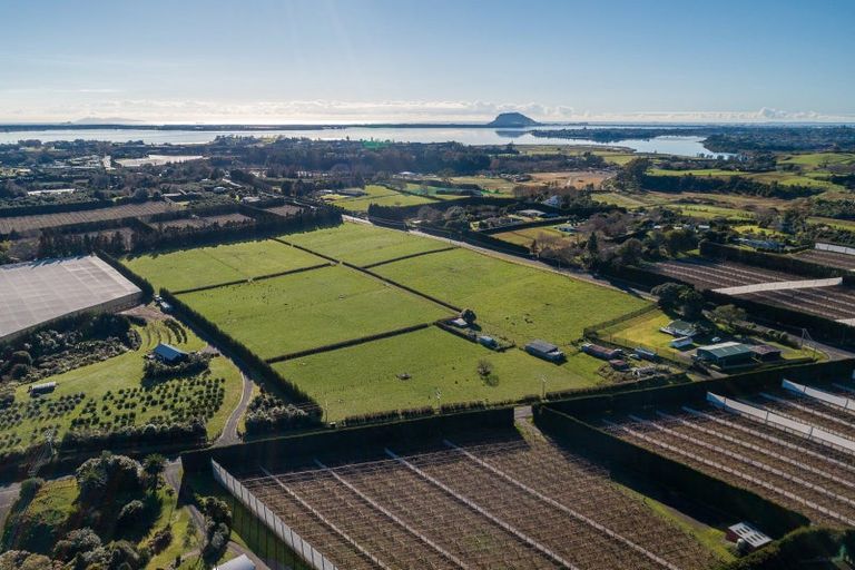 Photo of property in 28 Armstrong Road, Te Puna, Tauranga, 3174