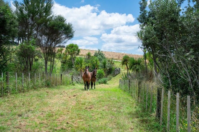 Photo of property in 225d Amreins Road, Taupaki, 0782