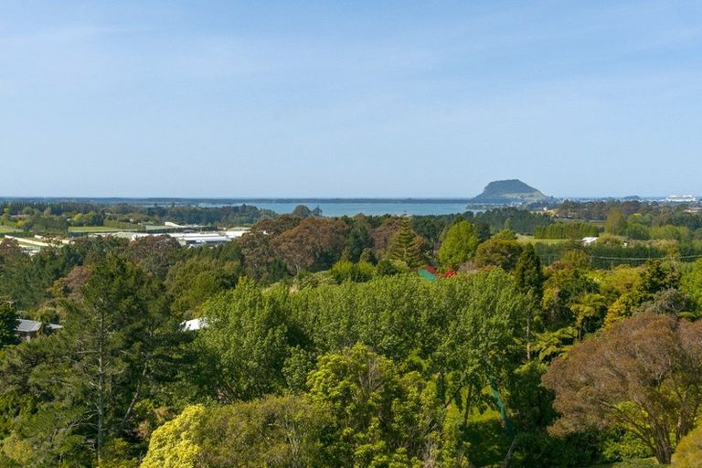 Photo of property in 140b Minden Road, Minden, Tauranga, 3176