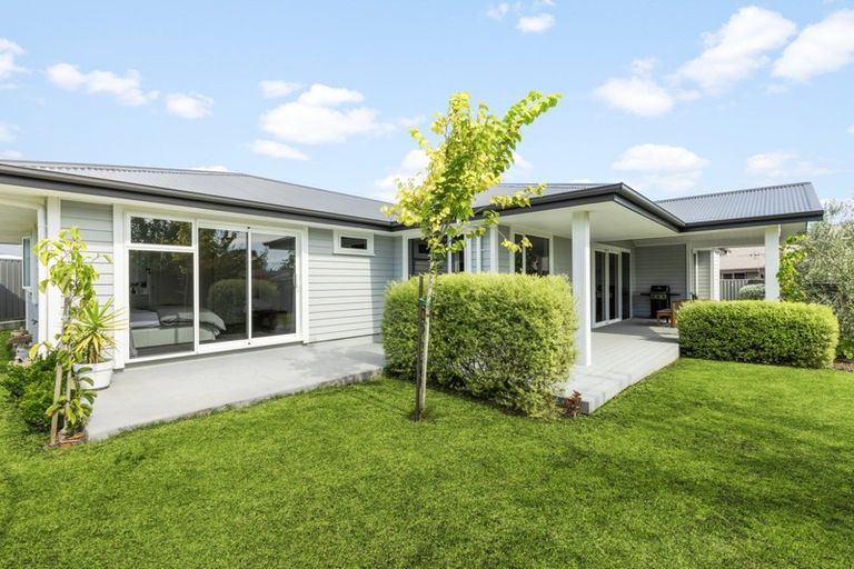 Photo of property in 7c Whakatomo Place, Havelock North, 4130