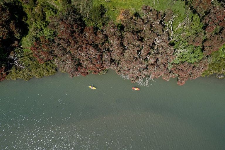 Photo of property in 37 Pohutukawa Drive, Athenree, Katikati, 3177