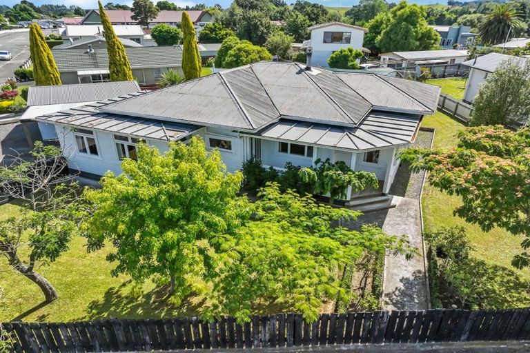 Photo of property in 9 Seddon Street, Dannevirke, 4930