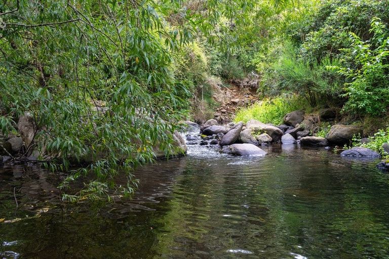 Photo of property in 462 Waitati Valley Road, Upper Waitati, Waitati, 9085