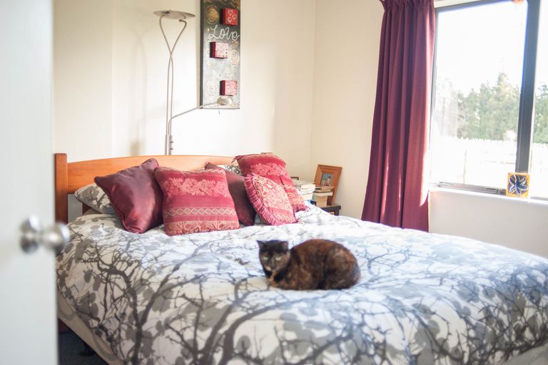 Photo of property in 105 O'shea Road, Pirongia, Te Awamutu, 3876