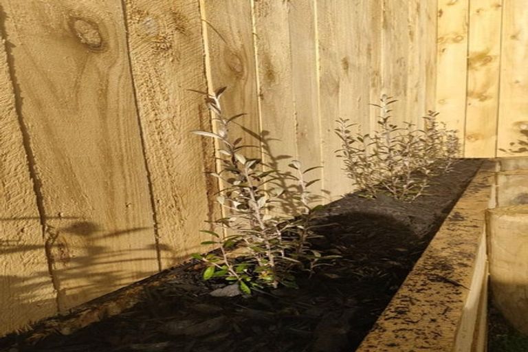 Photo of property in 14 Papai Lane, Massey, Auckland, 0614