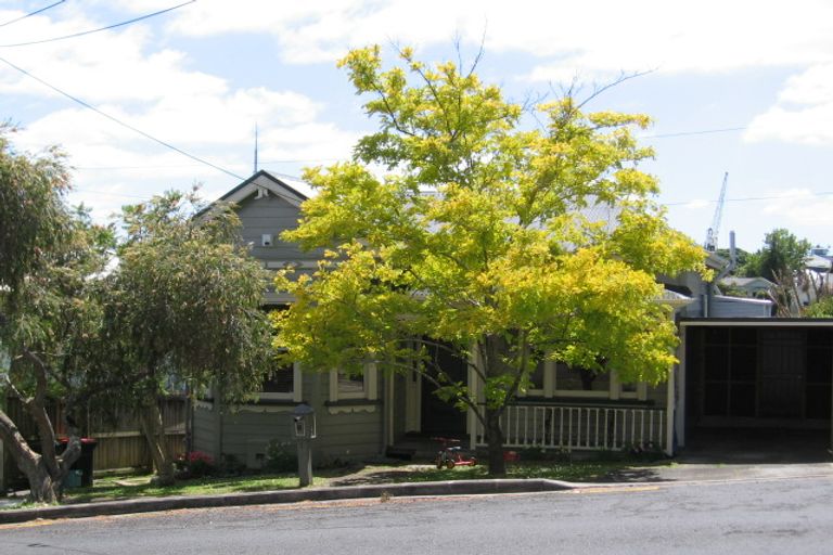 Photo of property in 11 Buchanan Street, Kingsland, Auckland, 1021