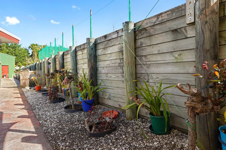 Photo of property in 72 Thompson Road, Waiotahe, Opotiki, 3198