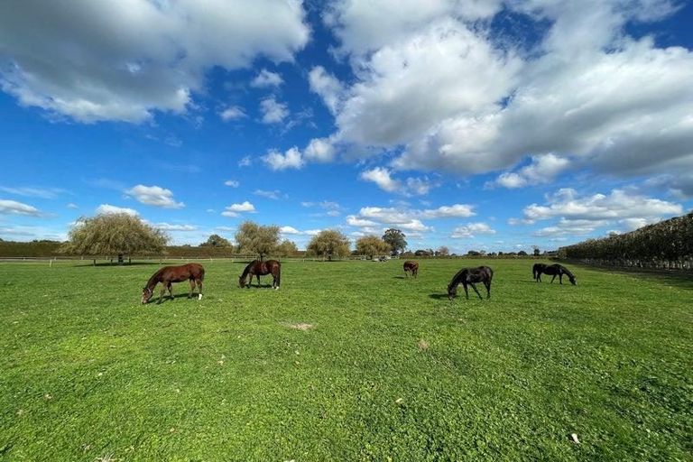 Photo of property in 598 Marychurch Road, Matangi, Hamilton, 3284