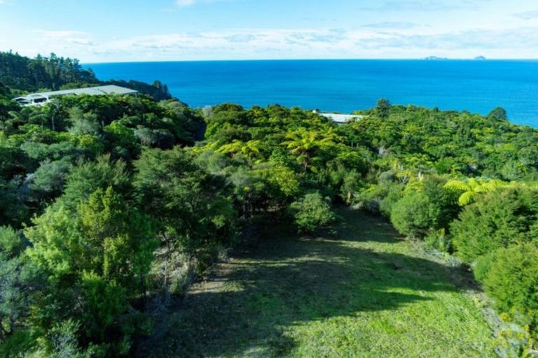 Photo of property in 180 Pumpkin Hill Road, Pumpkin Hill, Whitianga, 3591