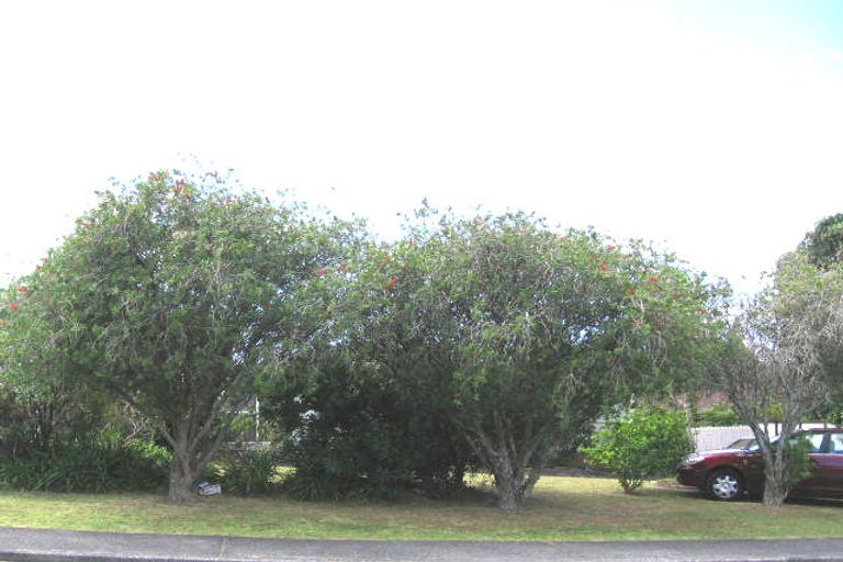 Photo of property in 19 Cockayne Crescent, Sunnynook, Auckland, 0620