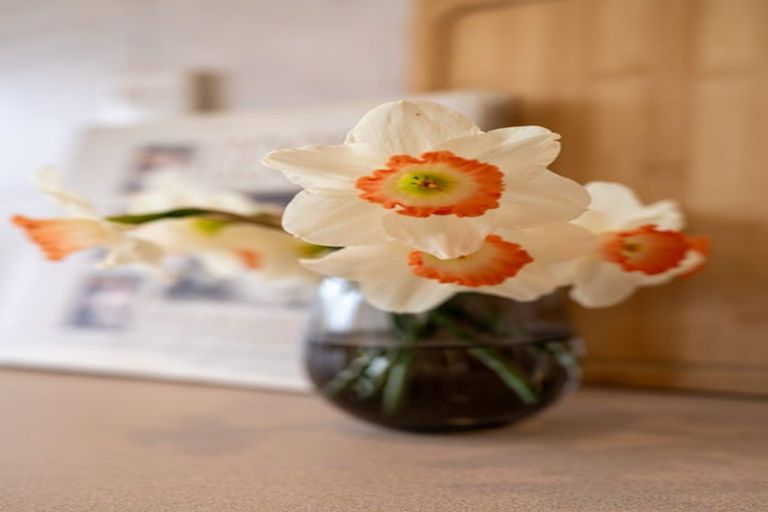 Photo of property in 5 Princes Street, Cambridge, 3434