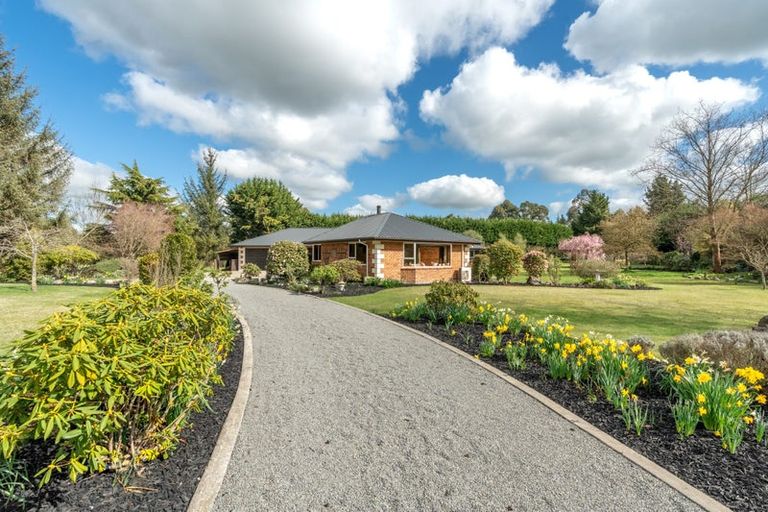 Photo of property in 7 Faith Place, West Melton, Christchurch, 7675