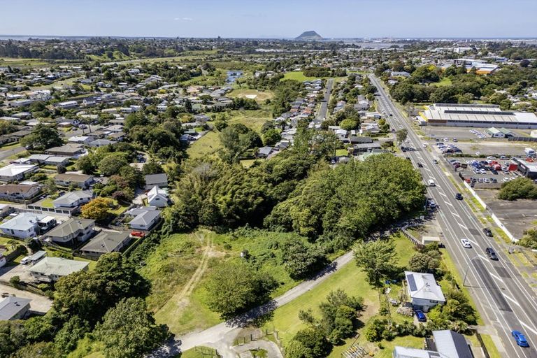 Photo of property in 1191 Cameron Road, Gate Pa, Tauranga, 3112