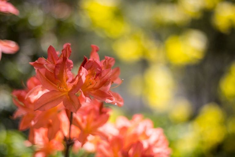 Photo of property in 5 Lot Rc, 97 Martin Road, Fairfield, Dunedin, 9018