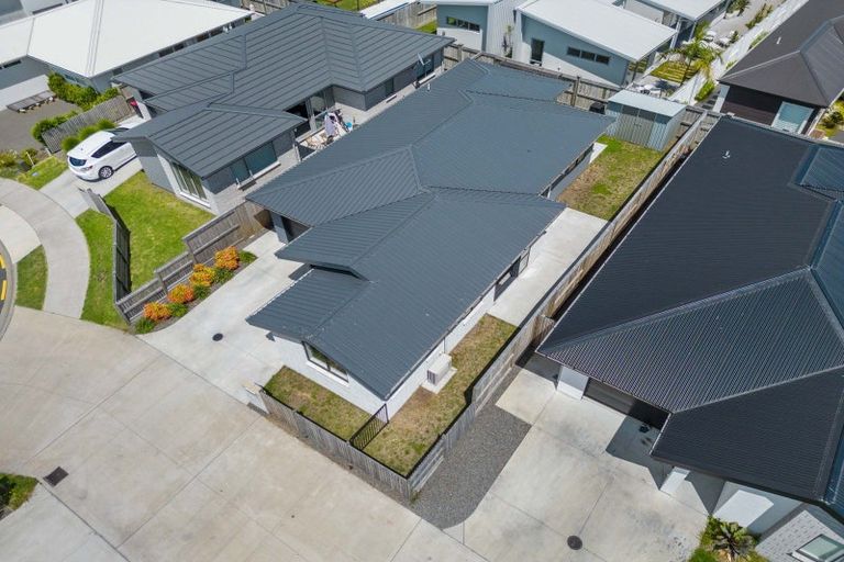 Photo of property in 1 Holstein Way, Papamoa, 3118