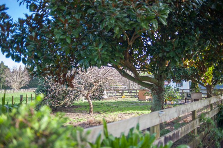 Photo of property in 105 O'shea Road, Pirongia, Te Awamutu, 3876
