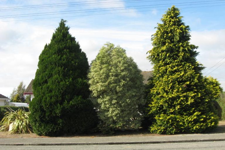 Photo of property in 5 Moorhouse Street, Waimate, 7924