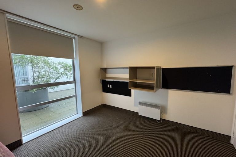 Photo of property in Hanson House, 1b/27 Hanson Street, Mount Cook, Wellington, 6021