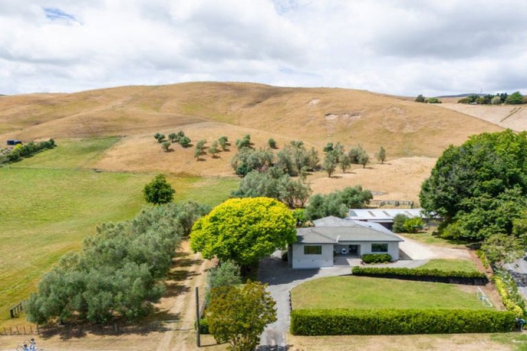 Photo of property in 487 Middle Road, Poukawa, Hastings, 4172