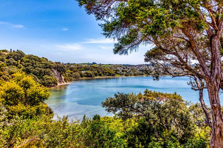 Photo of property in 60 Fidelis Avenue, Snells Beach, 0920