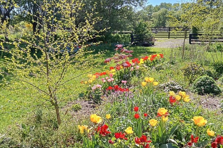 Photo of property in 40 Cashel Street, Waimate, 7924