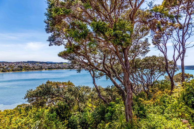 Photo of property in 60 Fidelis Avenue, Snells Beach, 0920