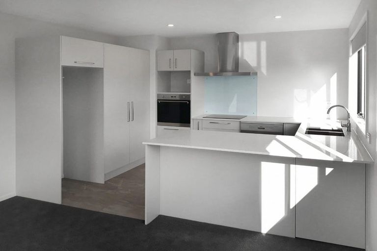 Photo of property in 52 William Nicholls Drive, Belfast, Christchurch, 8051