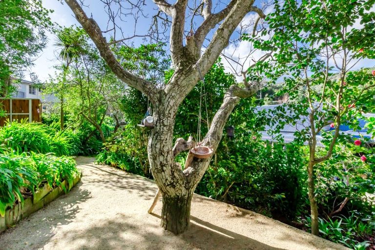 Photo of property in 16 Sydney Crescent, Raumati South, Paraparaumu, 5032