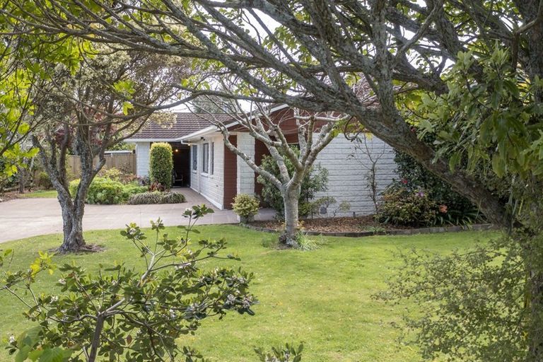 Photo of property in 57 Belvedere Avenue, Waikanae, 5036