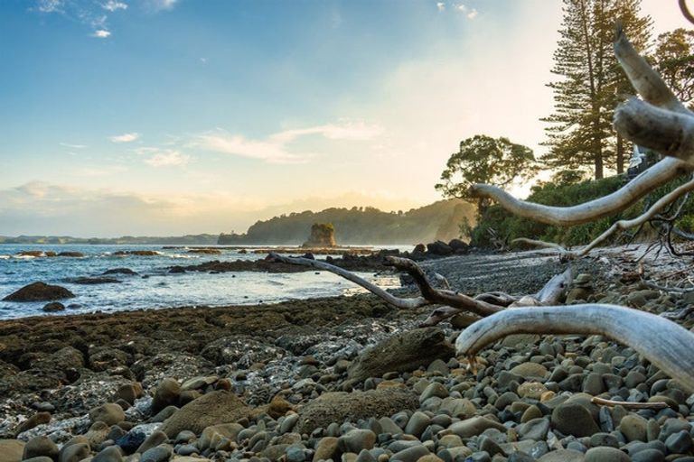 Photo of property in 57 Grand View Road, Leigh, 0985