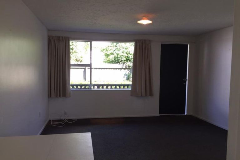Photo of property in 36 Berry Street, St Albans, Christchurch, 8014