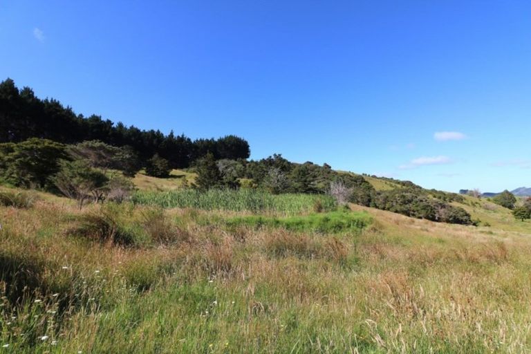 Photo of property in 110 Diggers Valley Road, Herekino, Kaitaia, 0481