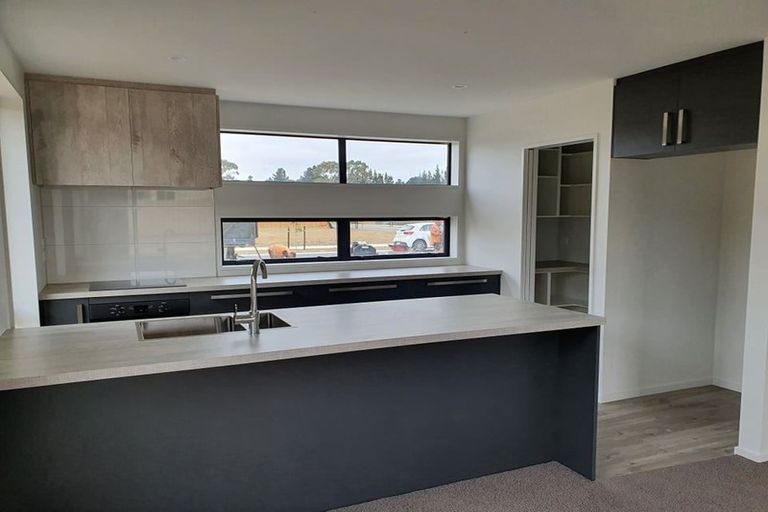 Photo of property in 22 Marliece Street, Rolleston, 7614