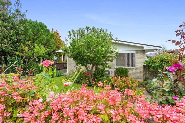 Photo of property in 151a Tasman Road, Otaki, 5512