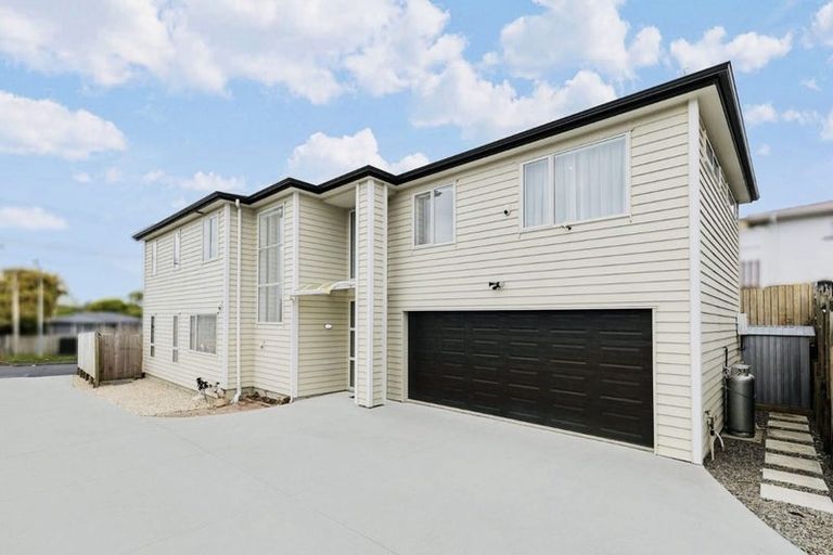 Photo of property in 8 Harrington Road, Henderson, Auckland, 0610