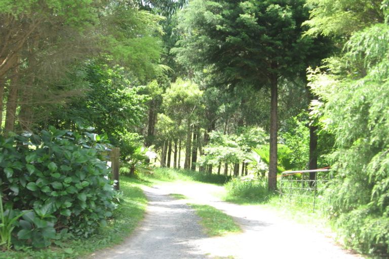 Photo of property in 51 Tebbutt Road, Lower Kaimai, Tauranga, 3171