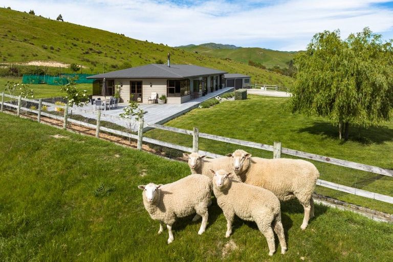 Photo of property in 257 Taylor Pass Road, Taylor Pass, Blenheim, 7274